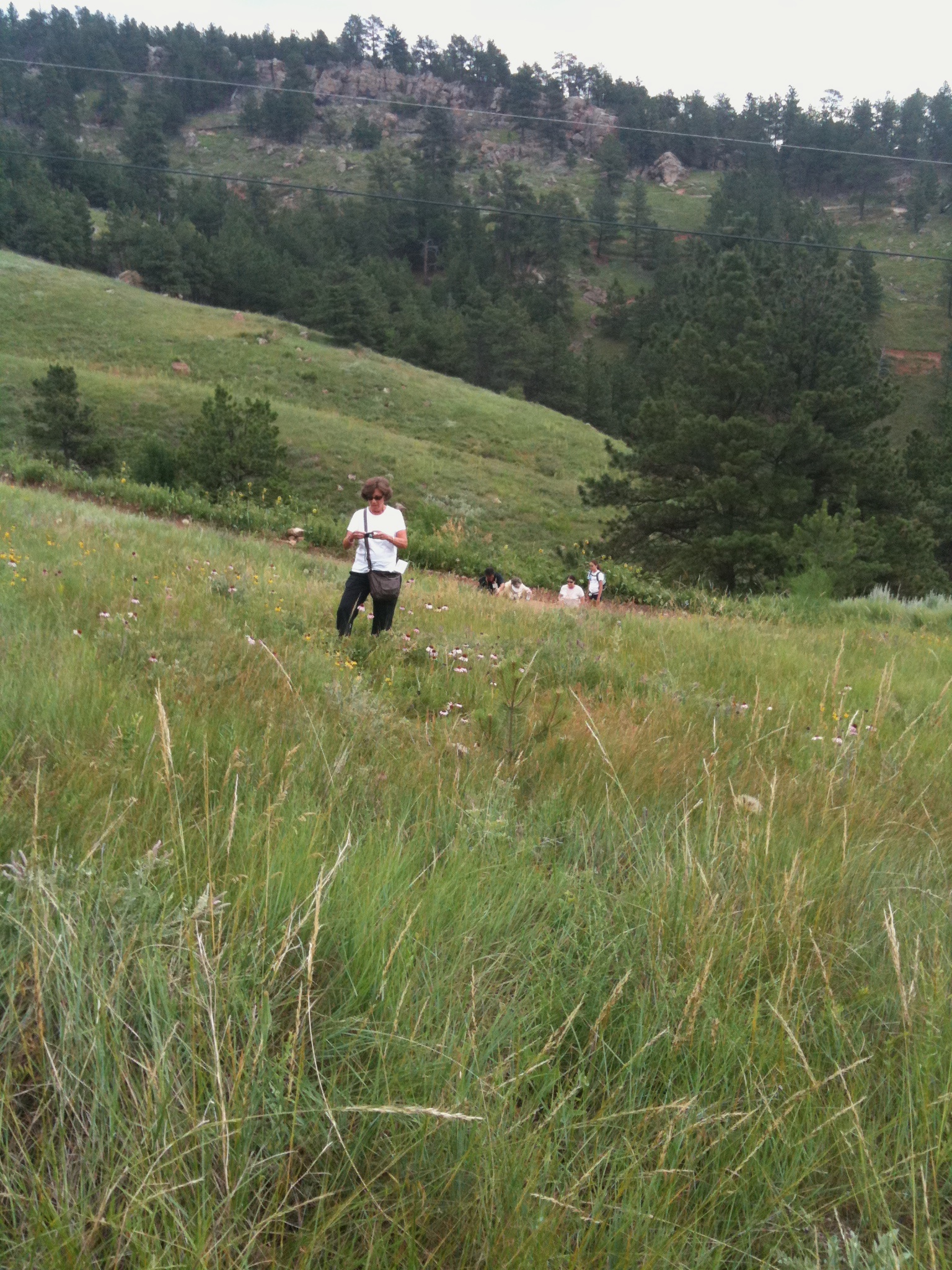 2010-07-SDSMT Reunion101.jpg